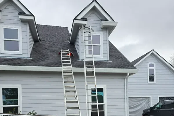 Vik's Gutter Co.'s other services